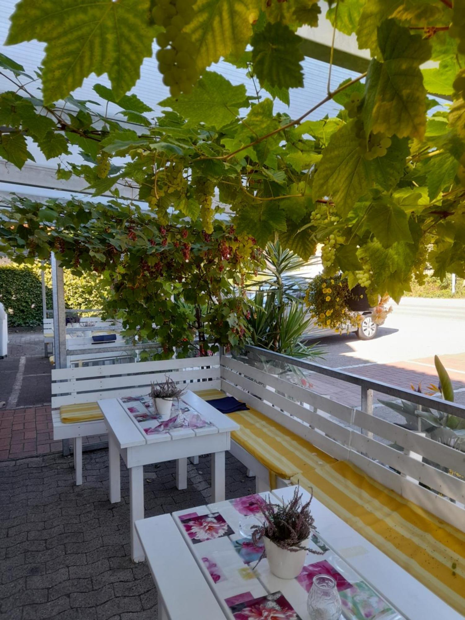 Hotel Diekgerdes Standard Cloppenburg Buitenkant foto